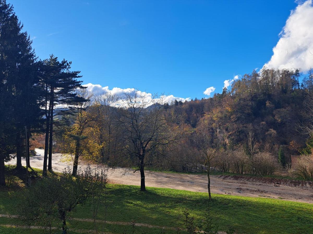 Greenriver Apartment Spodnje Gorje Exterior photo